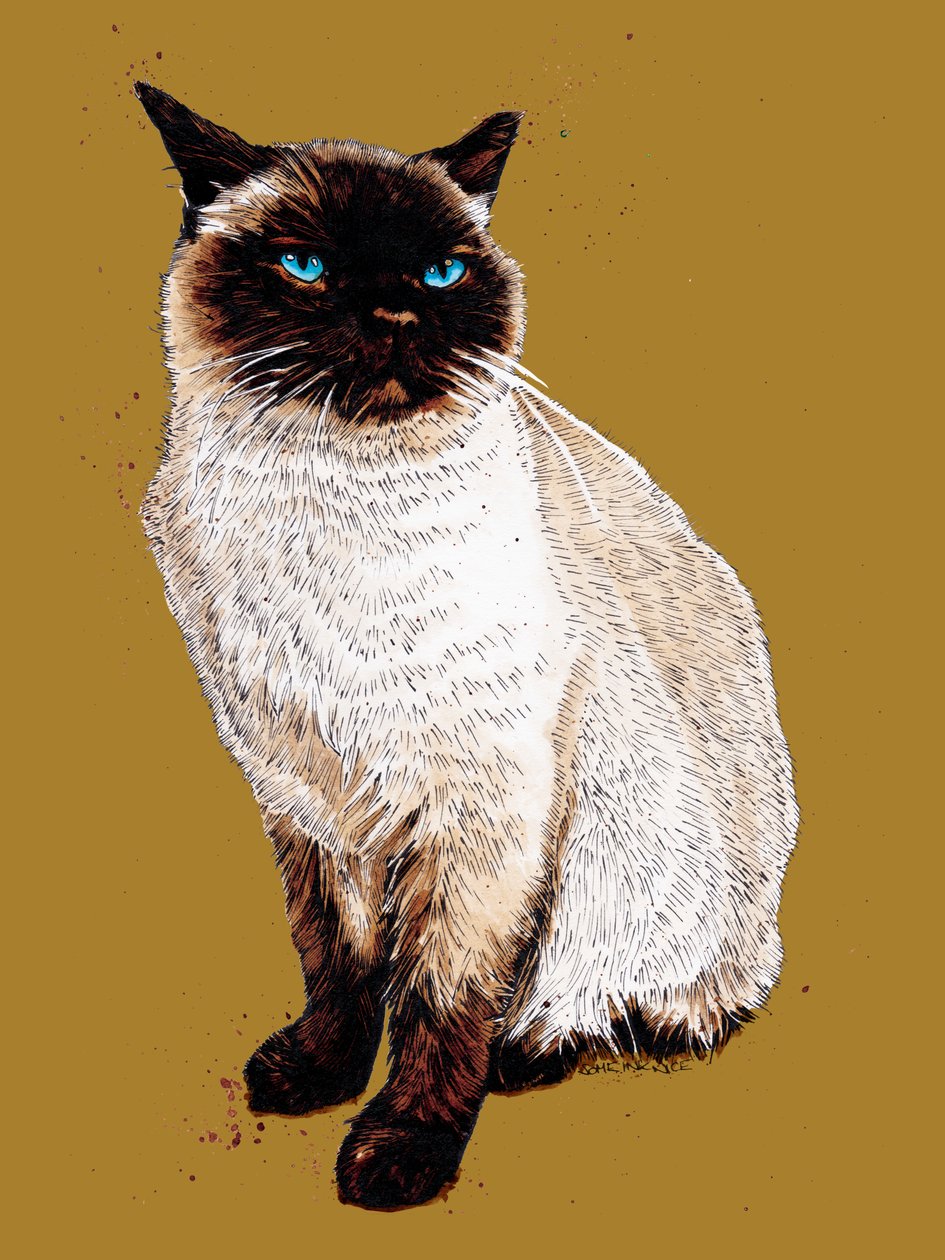 The Siamese Cat on Golden Yellow, 2020 af Mike Davis
