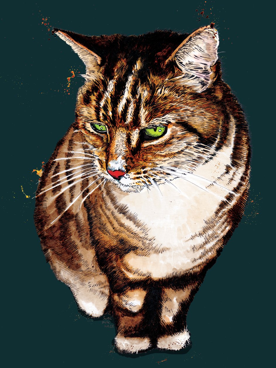 Tabby Cat på Deep Cyan, 2020 af Mike Davis