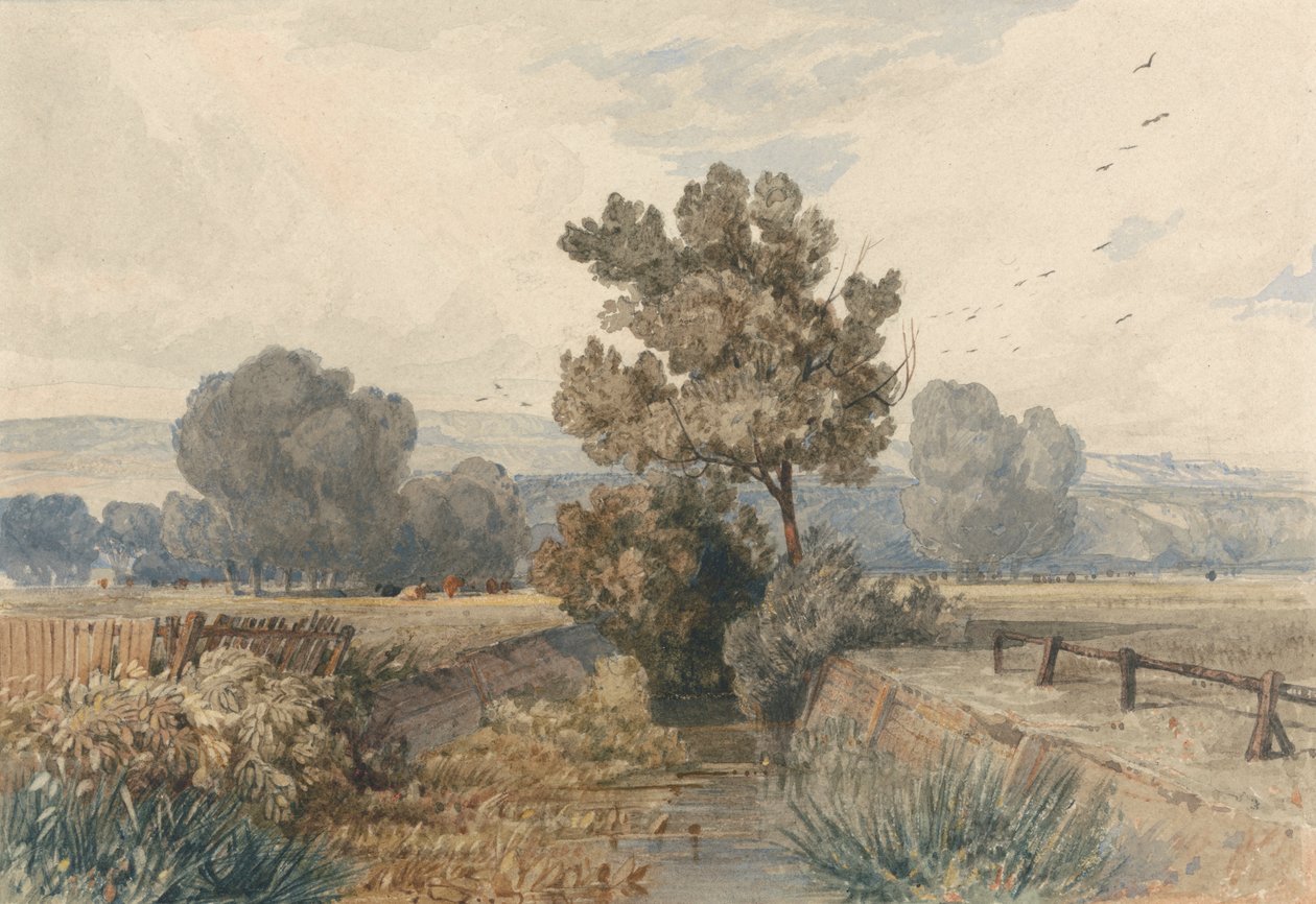 Scene i Elmham, Norfolk af Miles Edmund Cotman