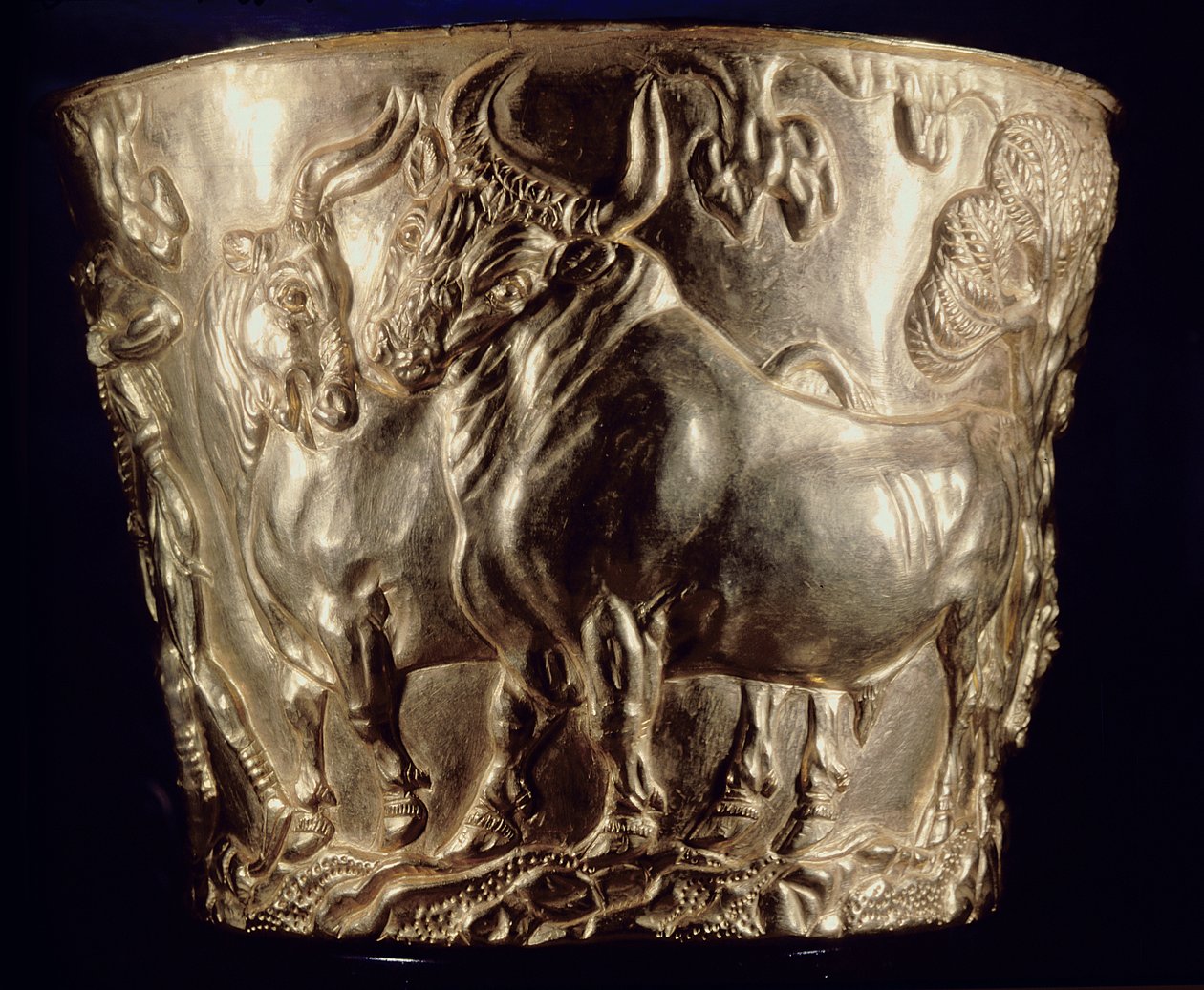 Kop, forestillende en tamtyr, fundet i Vaphios kongegrav, Sparta, sen minoiske I, ca. 1500 f.Kr. (guld) (se også 148825) af Minoan