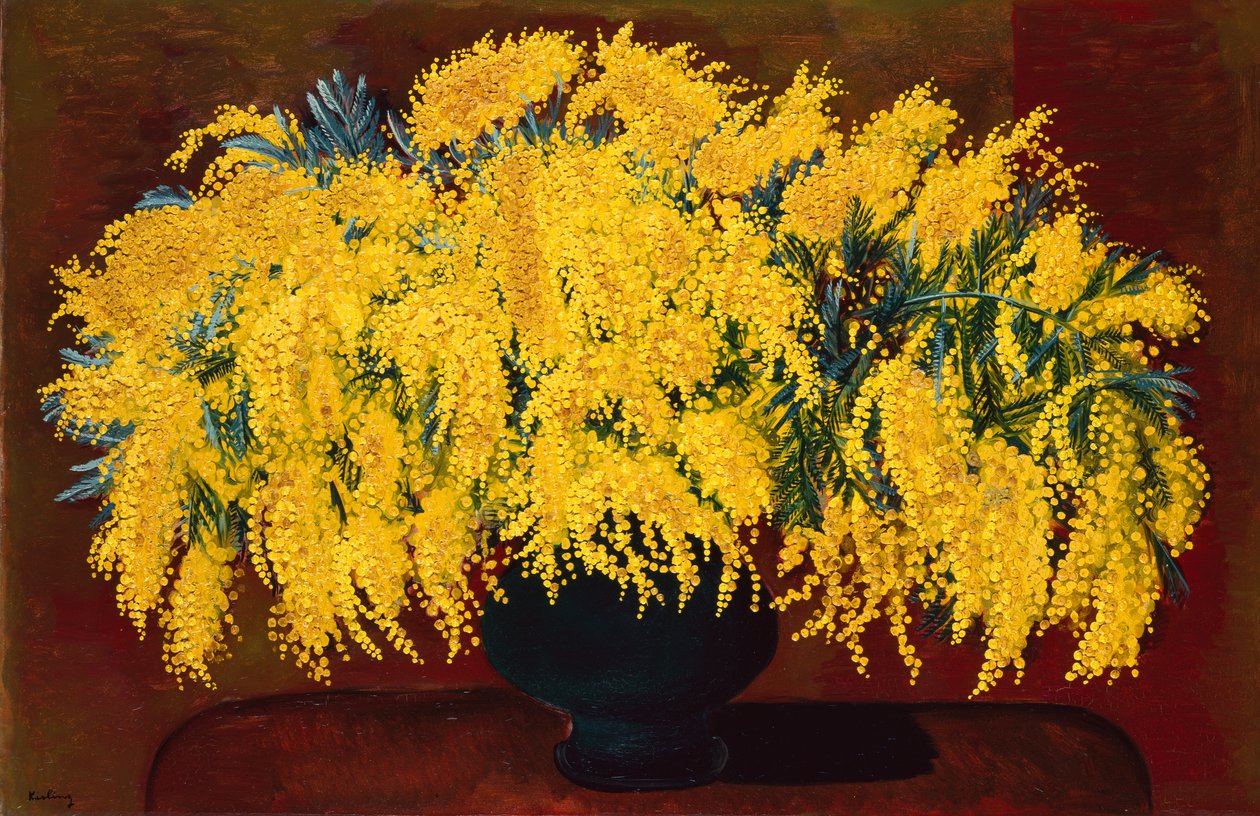 Mimosaer af Moise Kisling