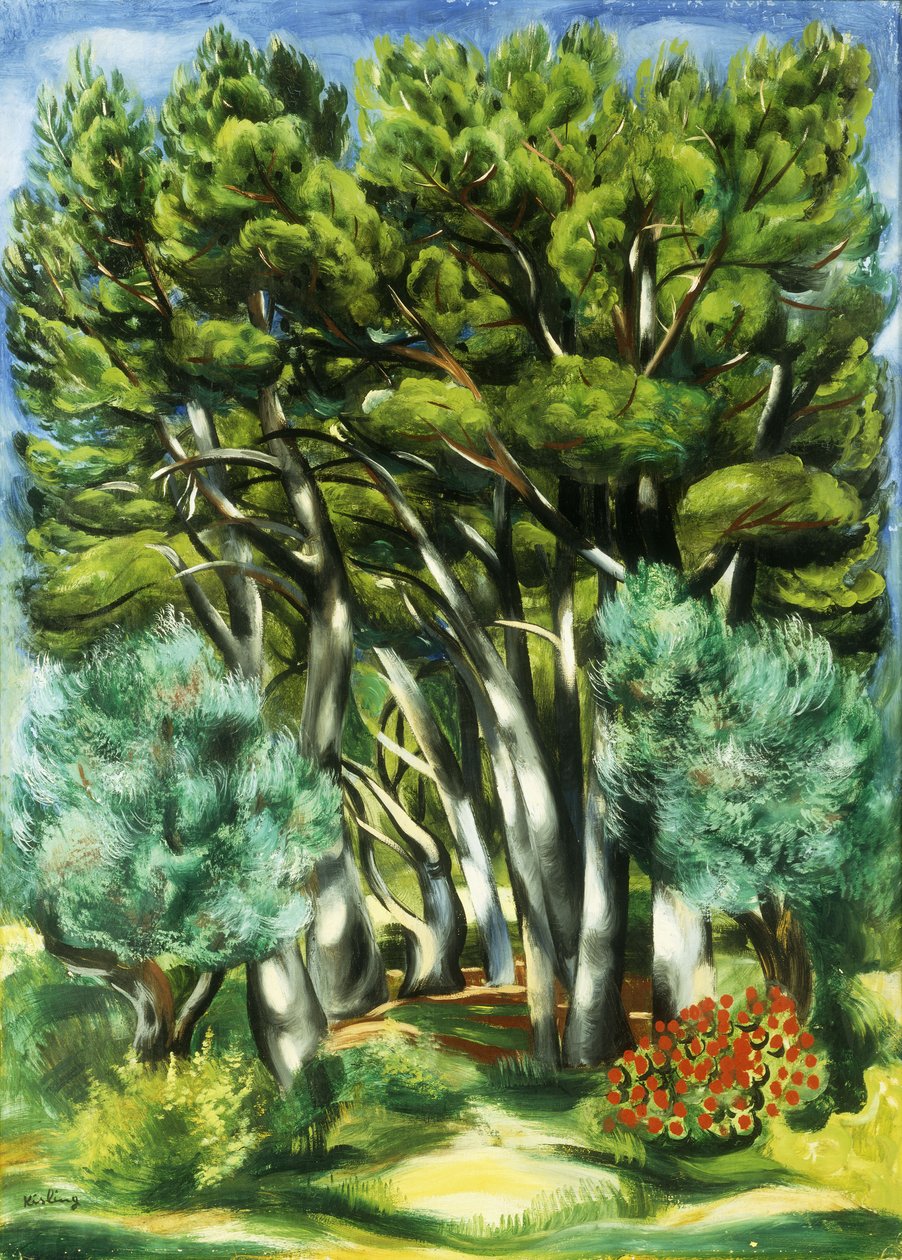 Landskab af Moise Kisling