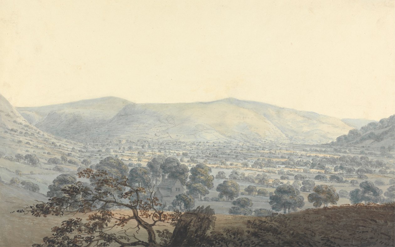 Fjernsyn over Llandrillo af Moses Griffith