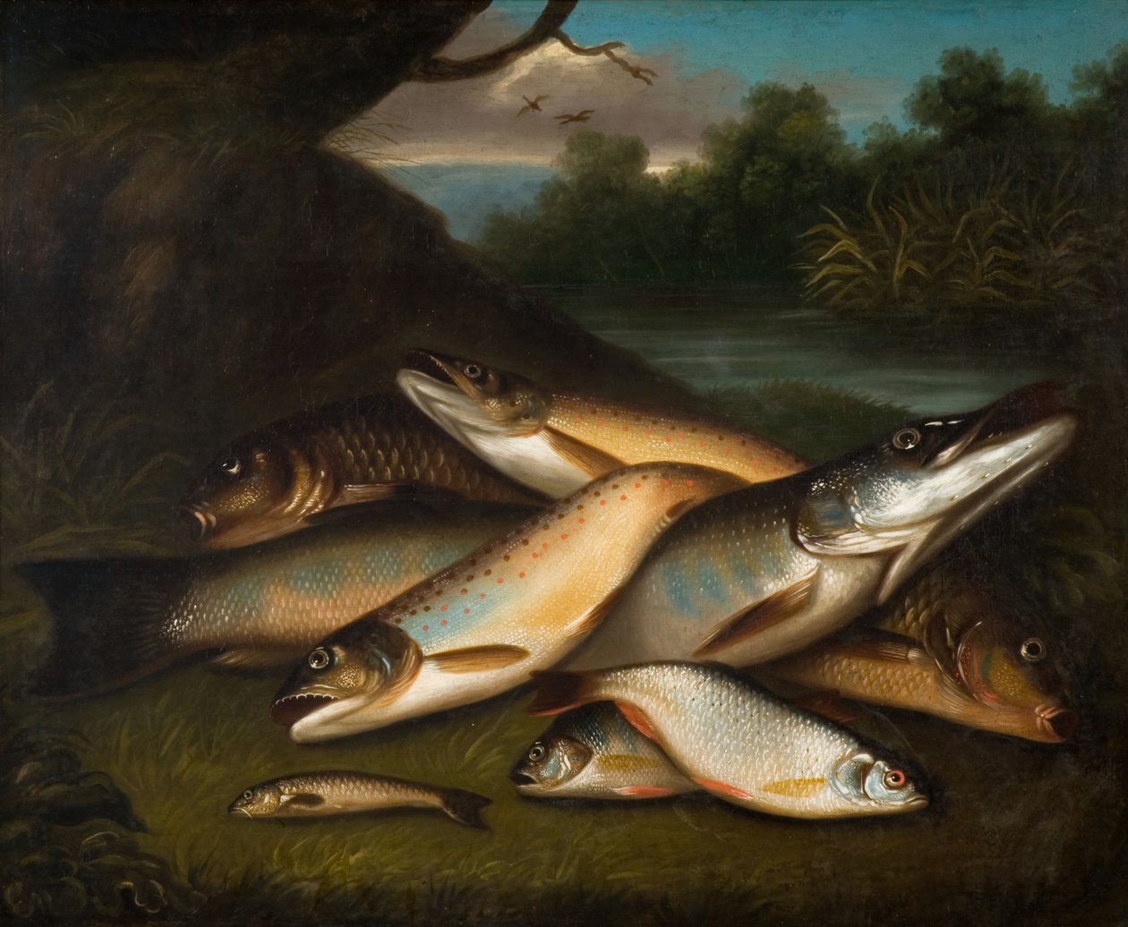 Fisk, 1790. af Moses Haughton