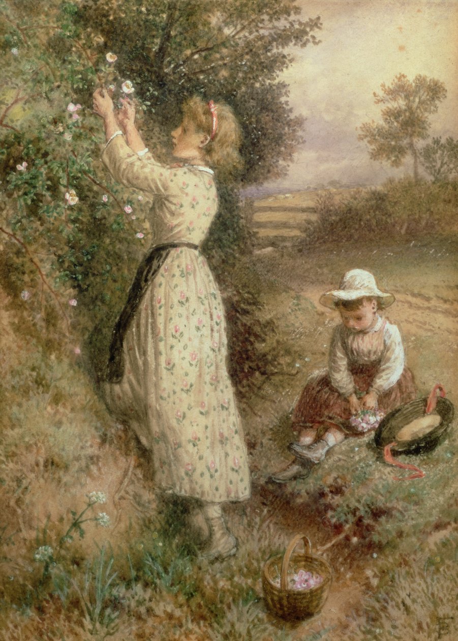 Vilde Roser af Myles Birket Foster