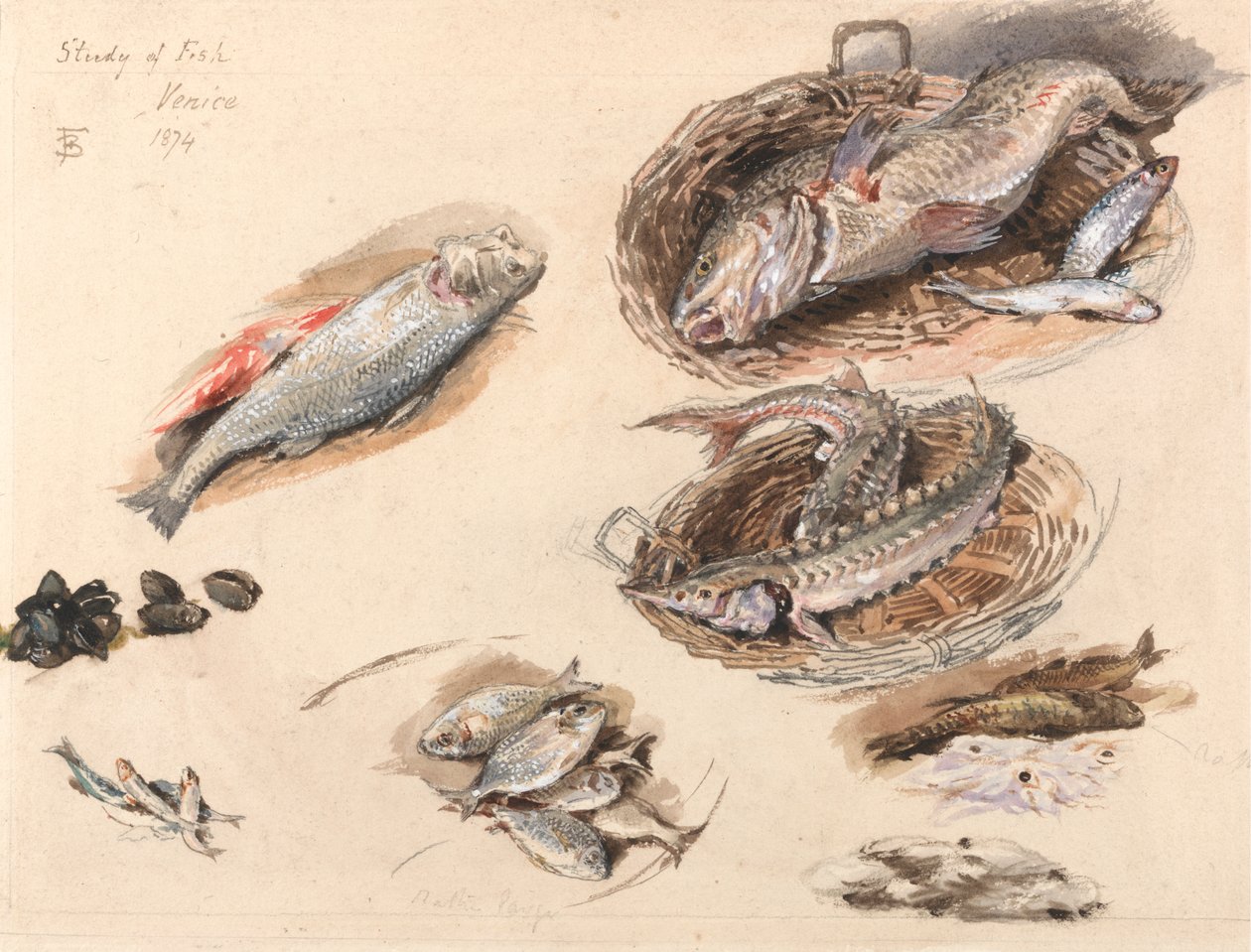 Undersøgelse af fisk, Venedig af Myles Birket Foster