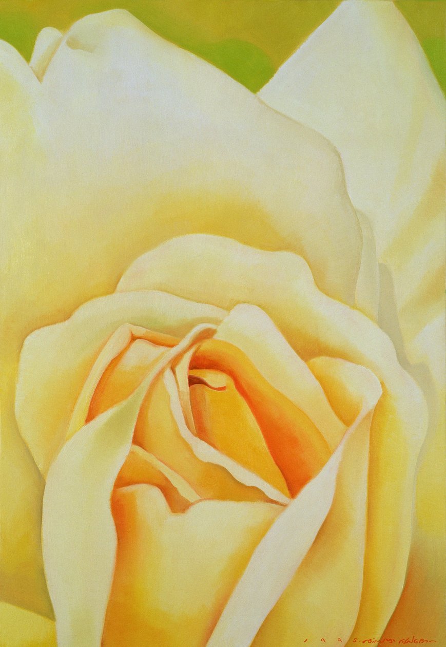 Rosen, 1995 af Myung Bo Sim