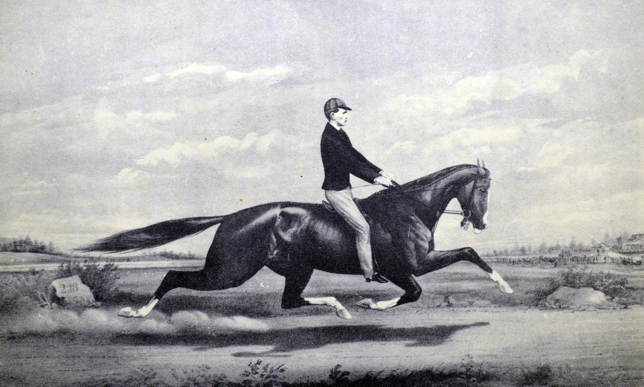 Currier & Ives Illustration 1800-tallet. Den fejrede hest Dexter The king of the Turf af N. and Ives, J.M. Currier