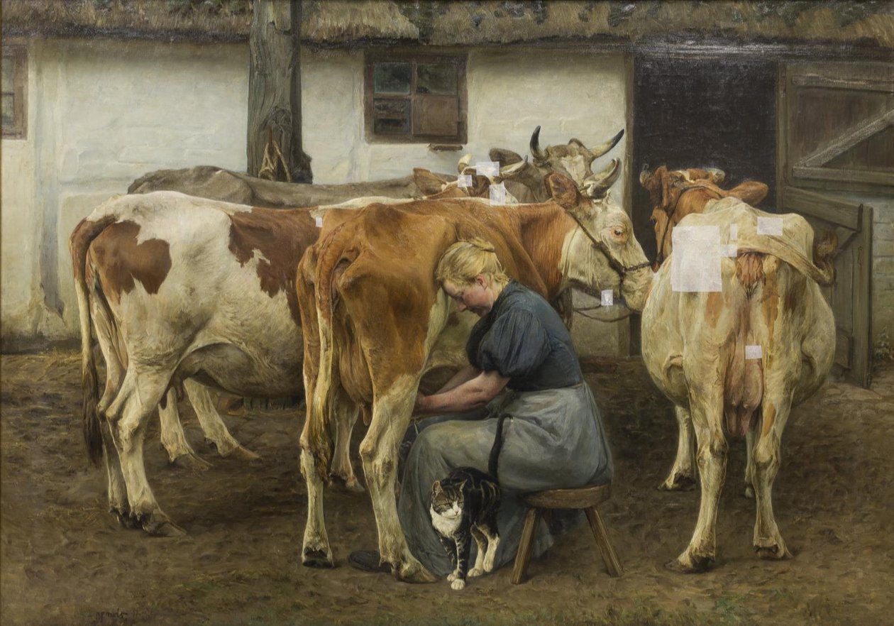 Malkning af køerne. Vestjylland af N.P. Mols