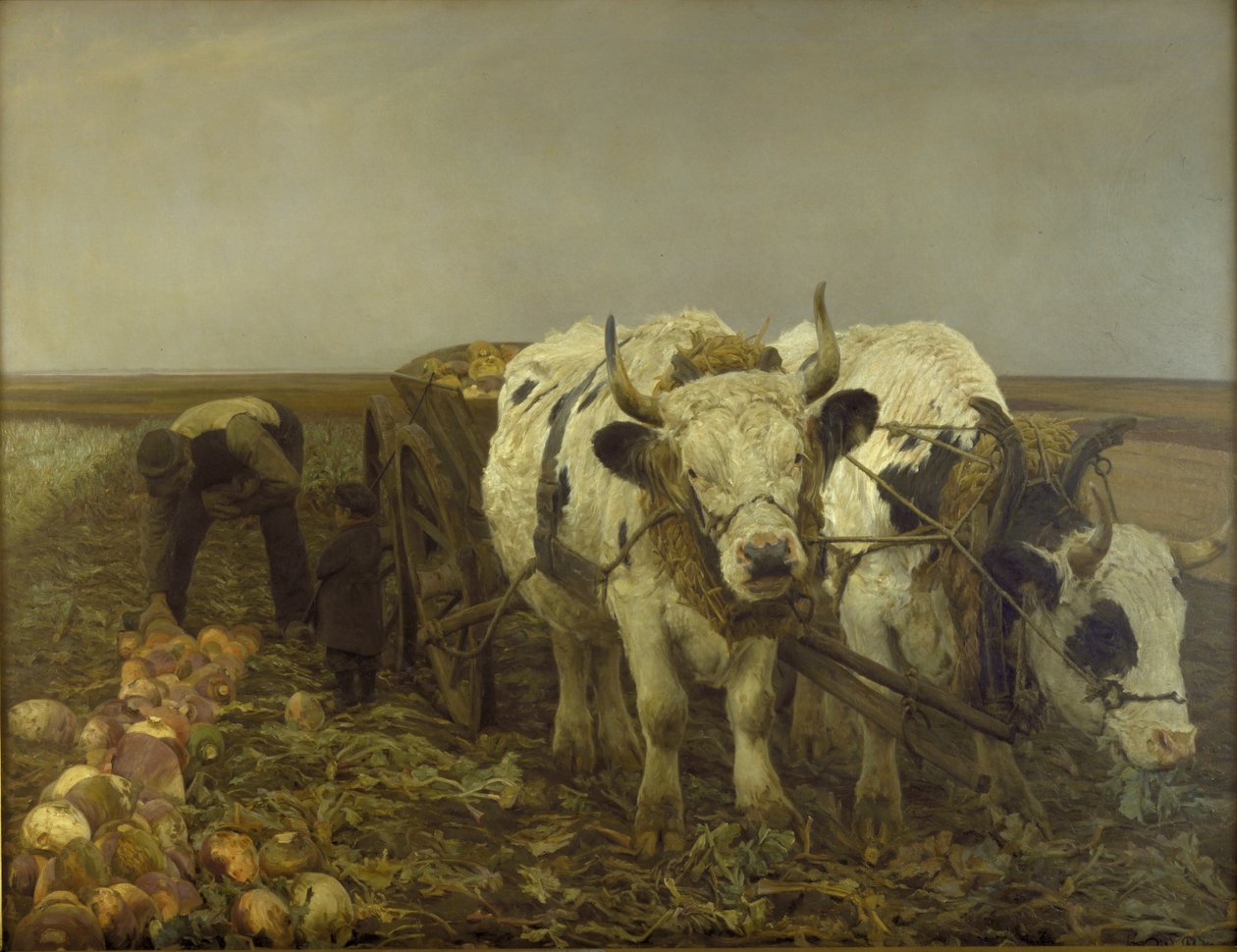 Roeoptagning af N.P. Mols