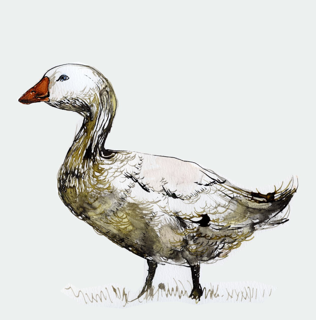 Filthy Goose, 2017, (blæk på papir) af Nancy Moniz Charalambous