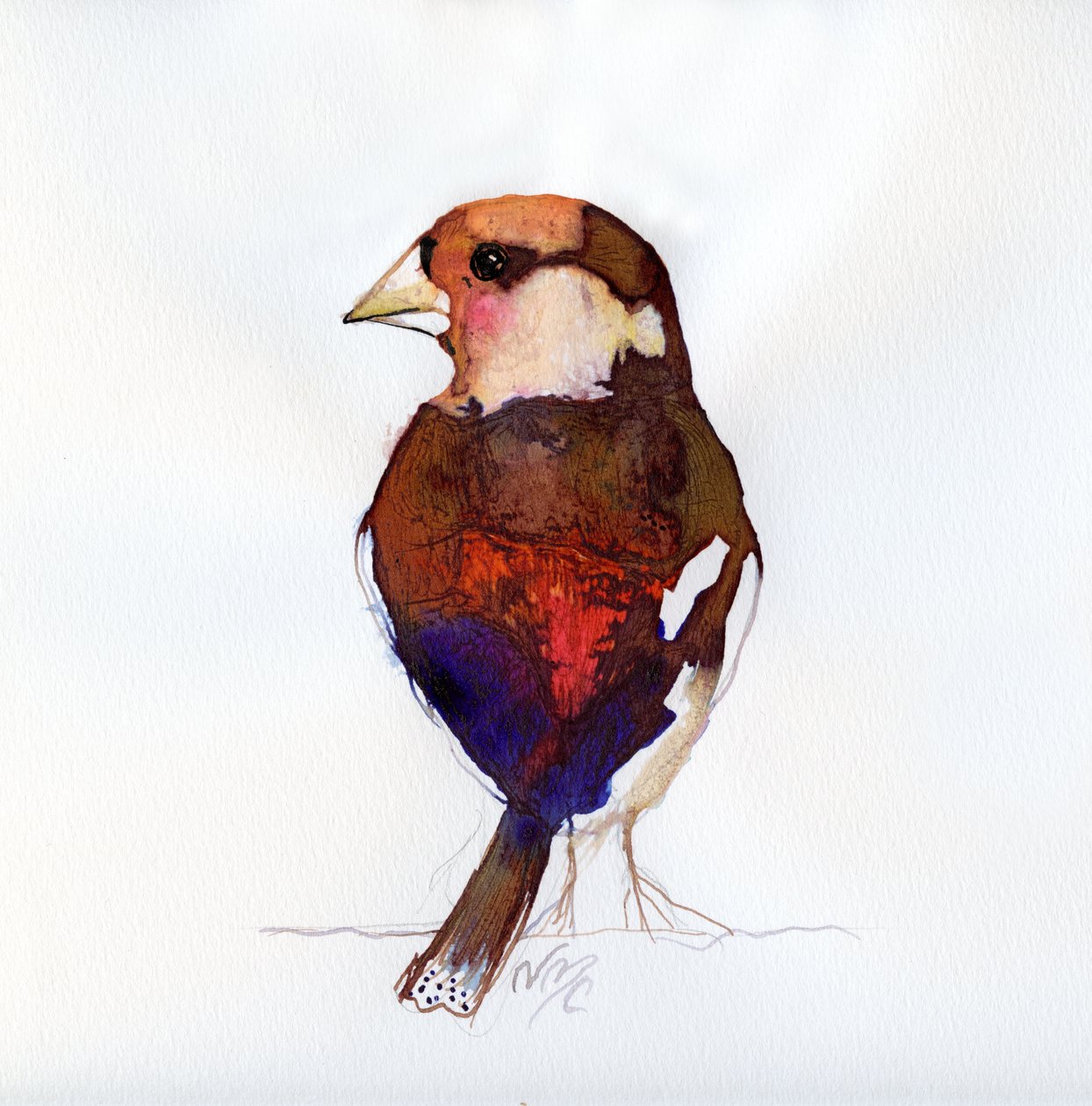 Blushing Hawfinch, 2017 af Nancy Moniz Charalambous