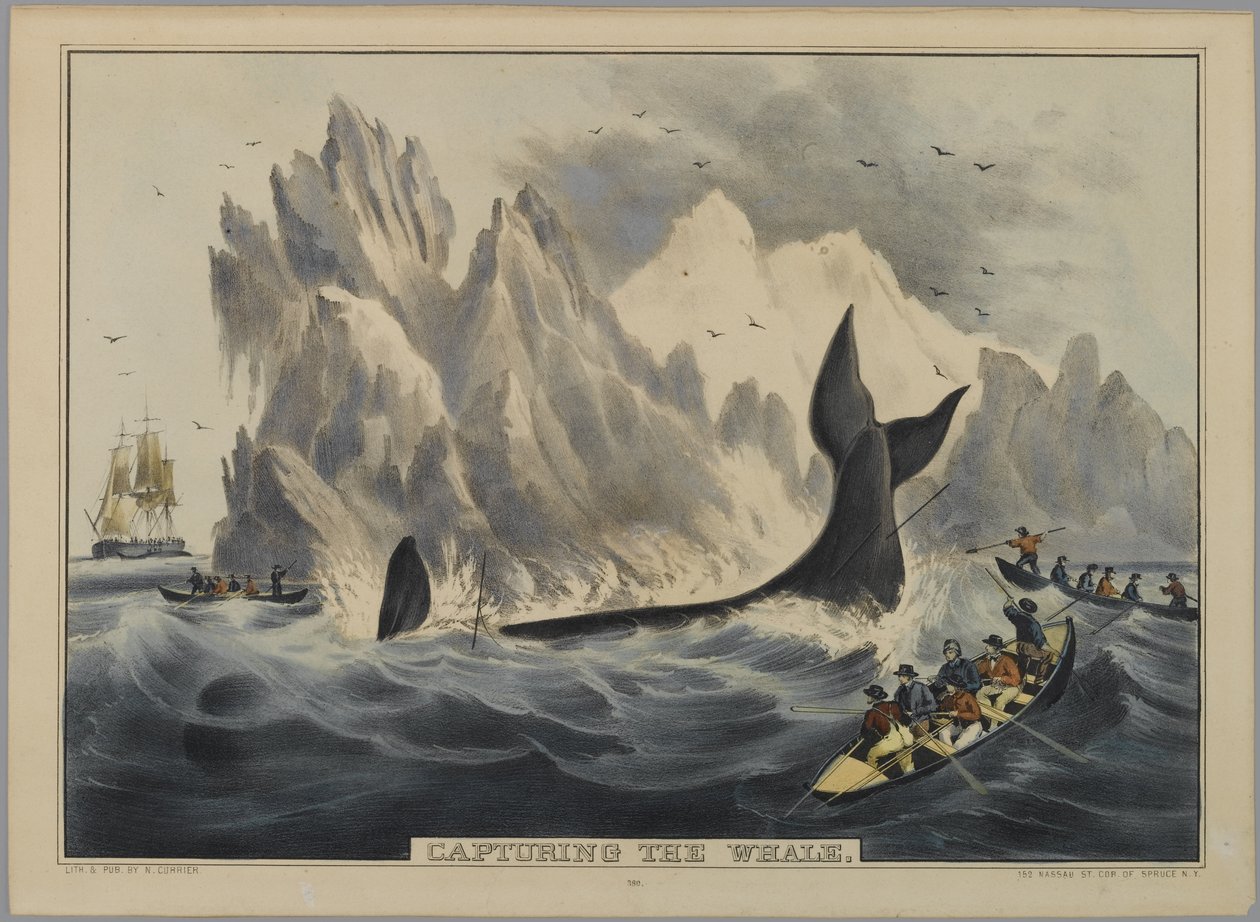 At fange hvalen (håndfarvet litho) af Nathaniel Currier