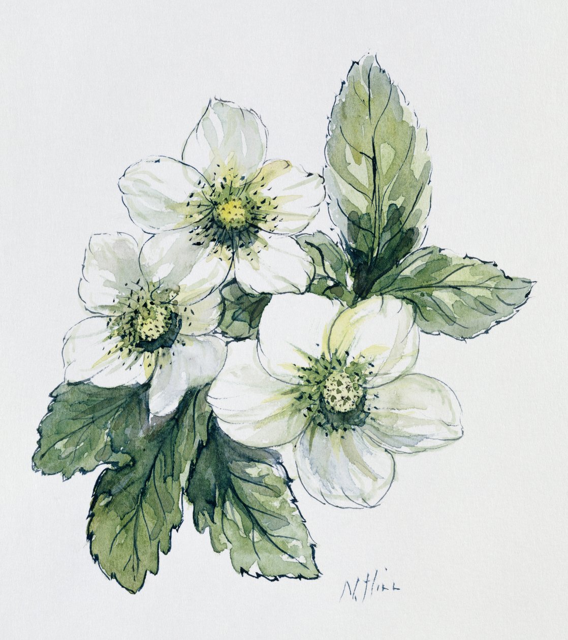 Julerose af Nell Hill