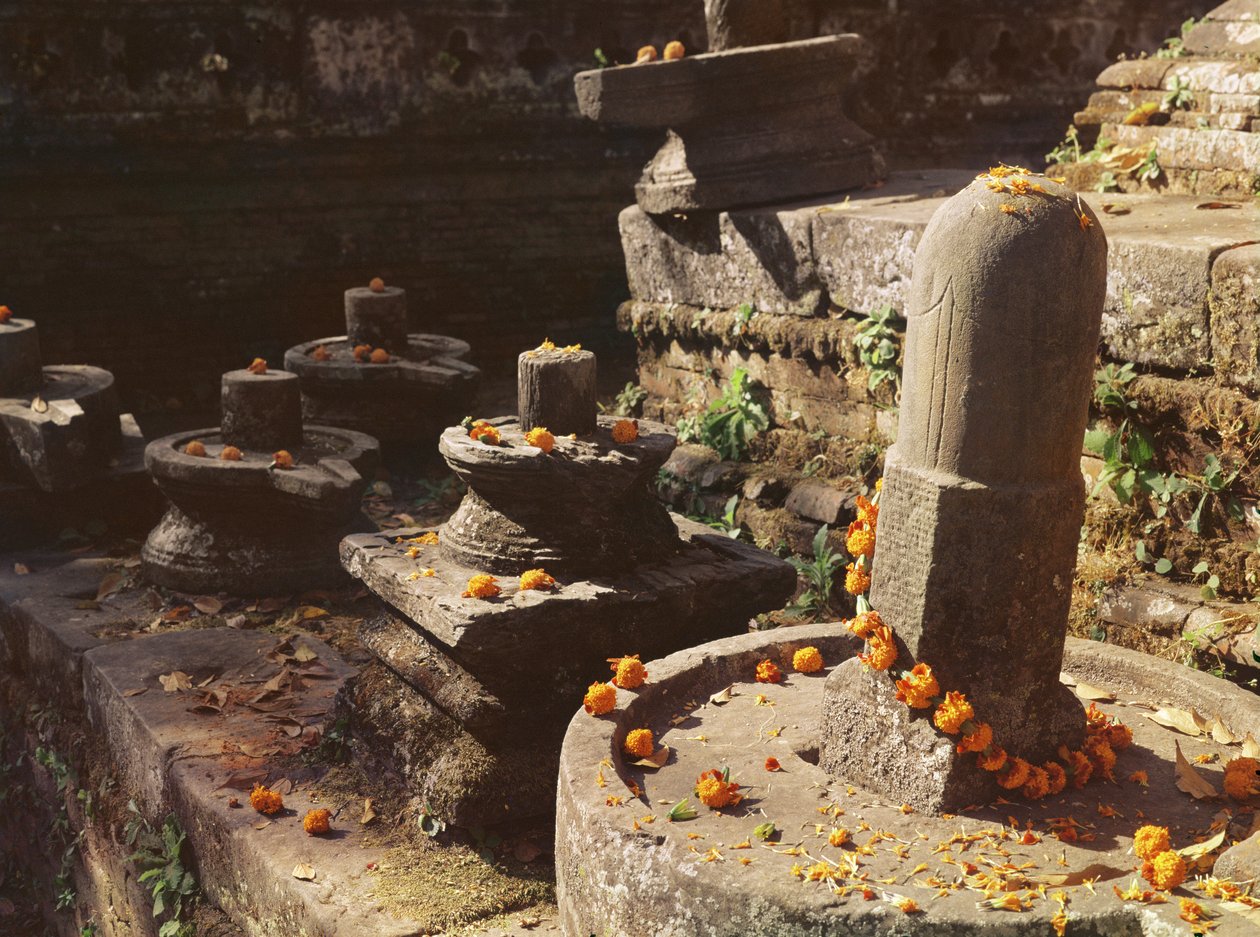Shiva lingams ved Pashupatinath-templet af Nepalese School