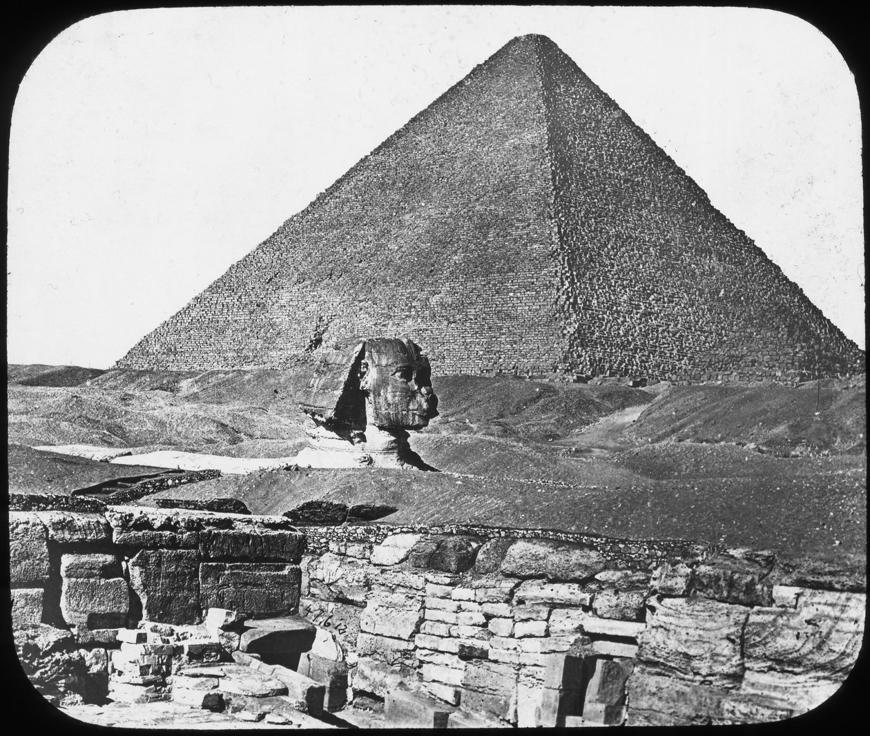 Den store sfinks i Giza, Egypten, c1890. af Newton and Co
