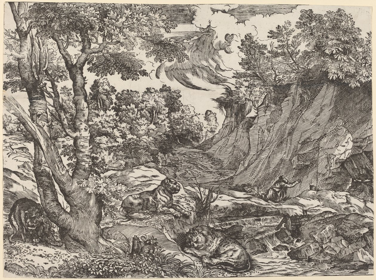 Sankt Hieronymus i ørkenen af Niccolò Boldrini after Titian