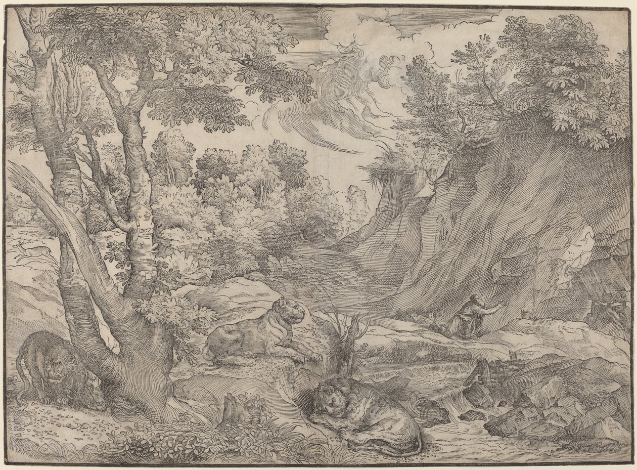 Sankt Hieronymus i ørkenen af Niccolò Boldrini after Titian