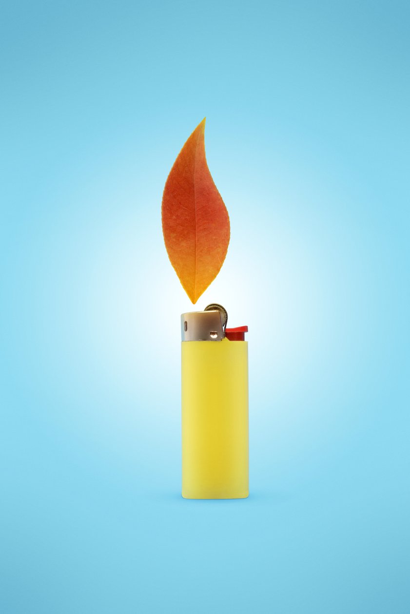 Lighteren, 2022 (foto) af Niccolò Fioriti
