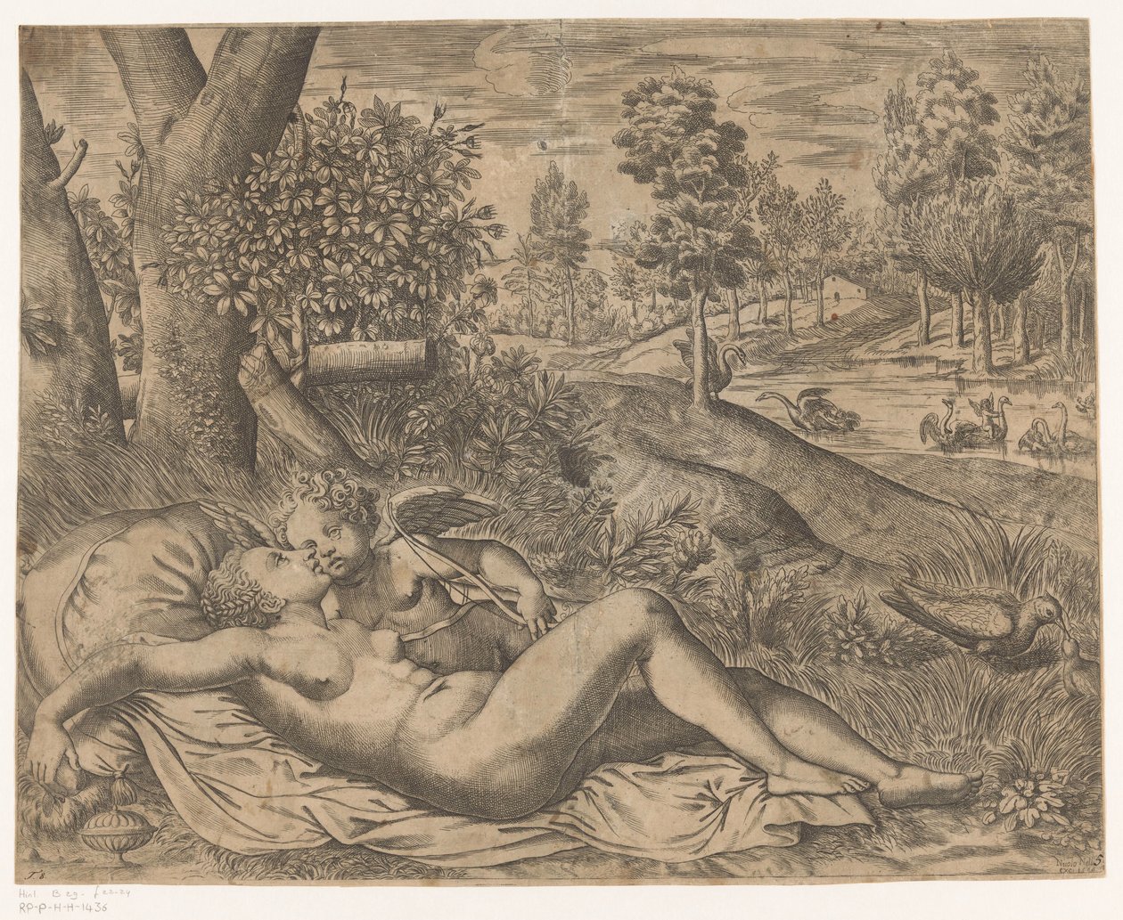 Venus forelsket af Niccolò Nelli