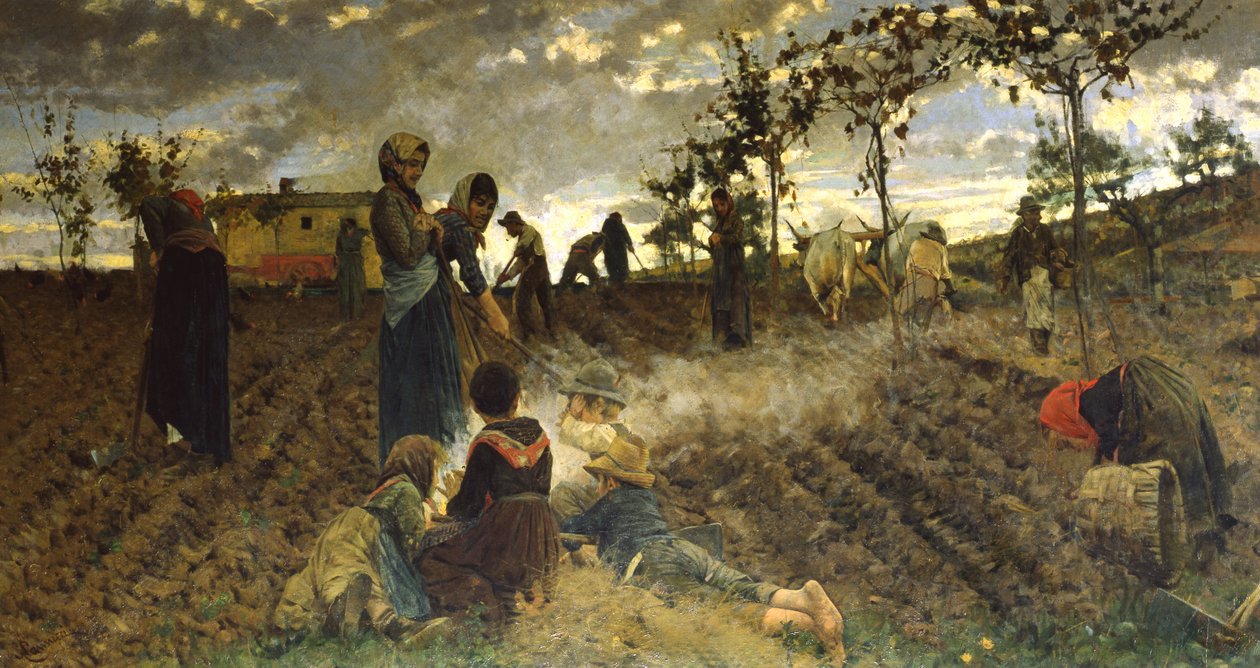 Såning i Toscana af Niccolo Cannicci
