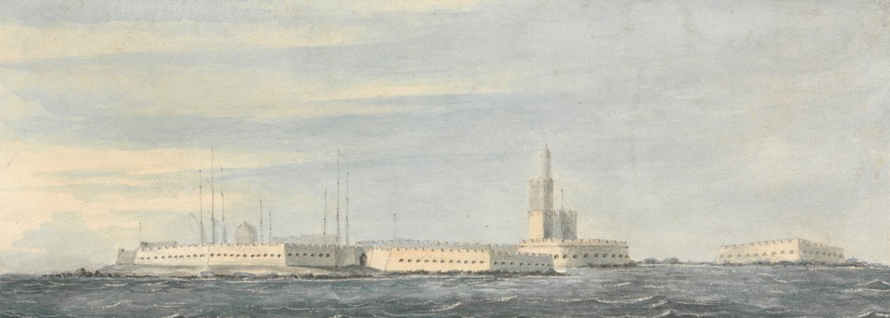 Muldvarpehoved, Algier af Nicholas Pocock
