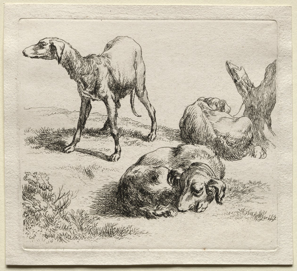 Tre jagthunde. af Nicolaes Pietersz. Berchem