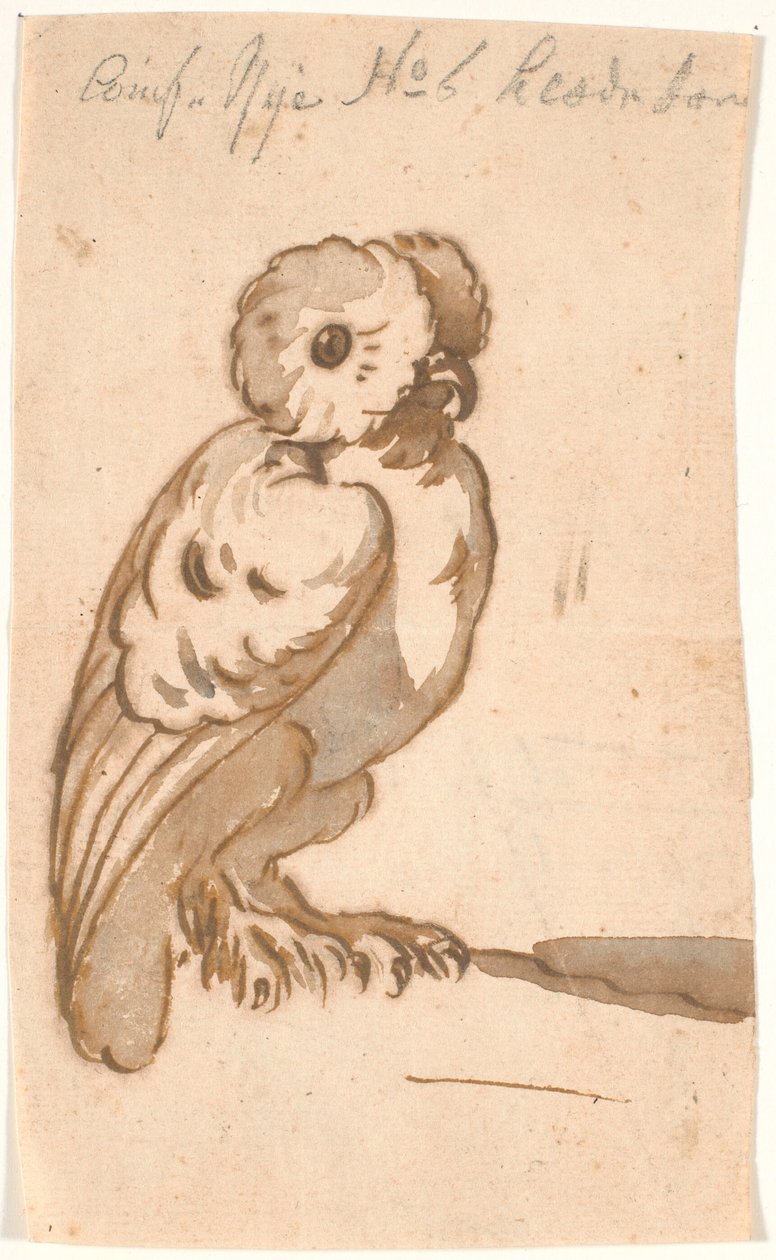 En ugle af Nicolai Abildgaard