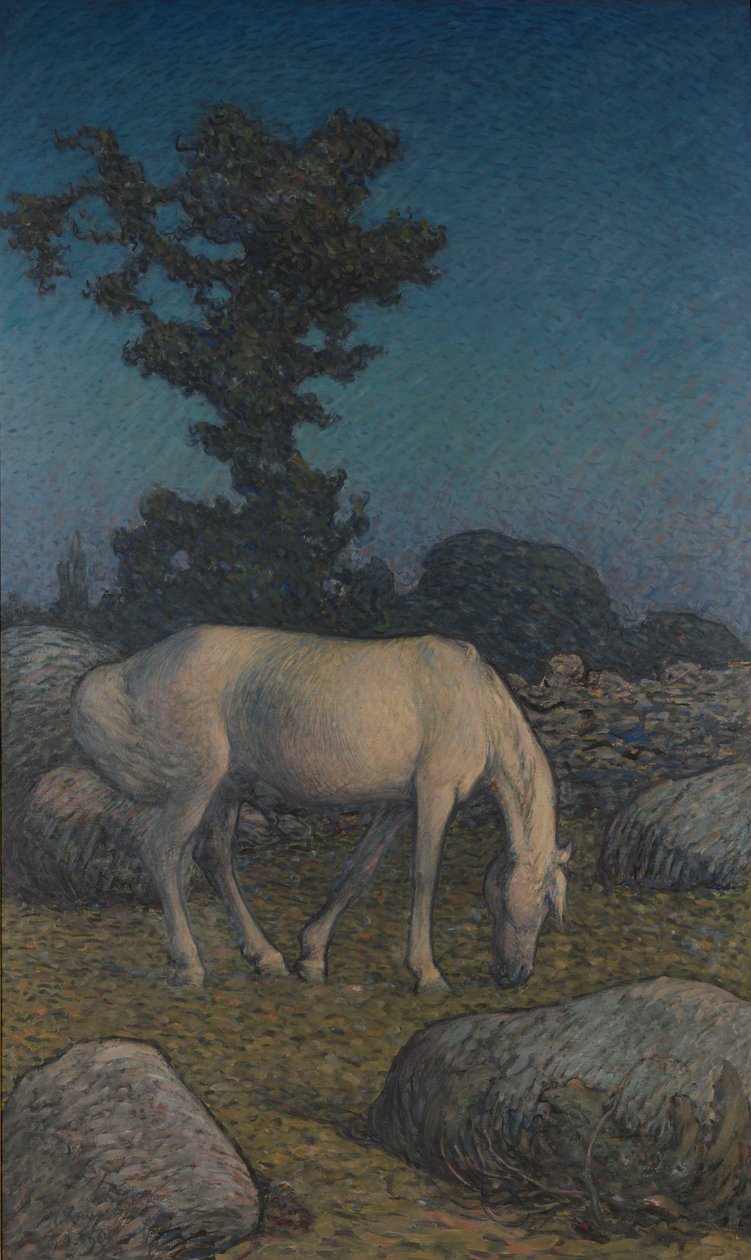Hvid hest i skumringen af Nils Kreuger