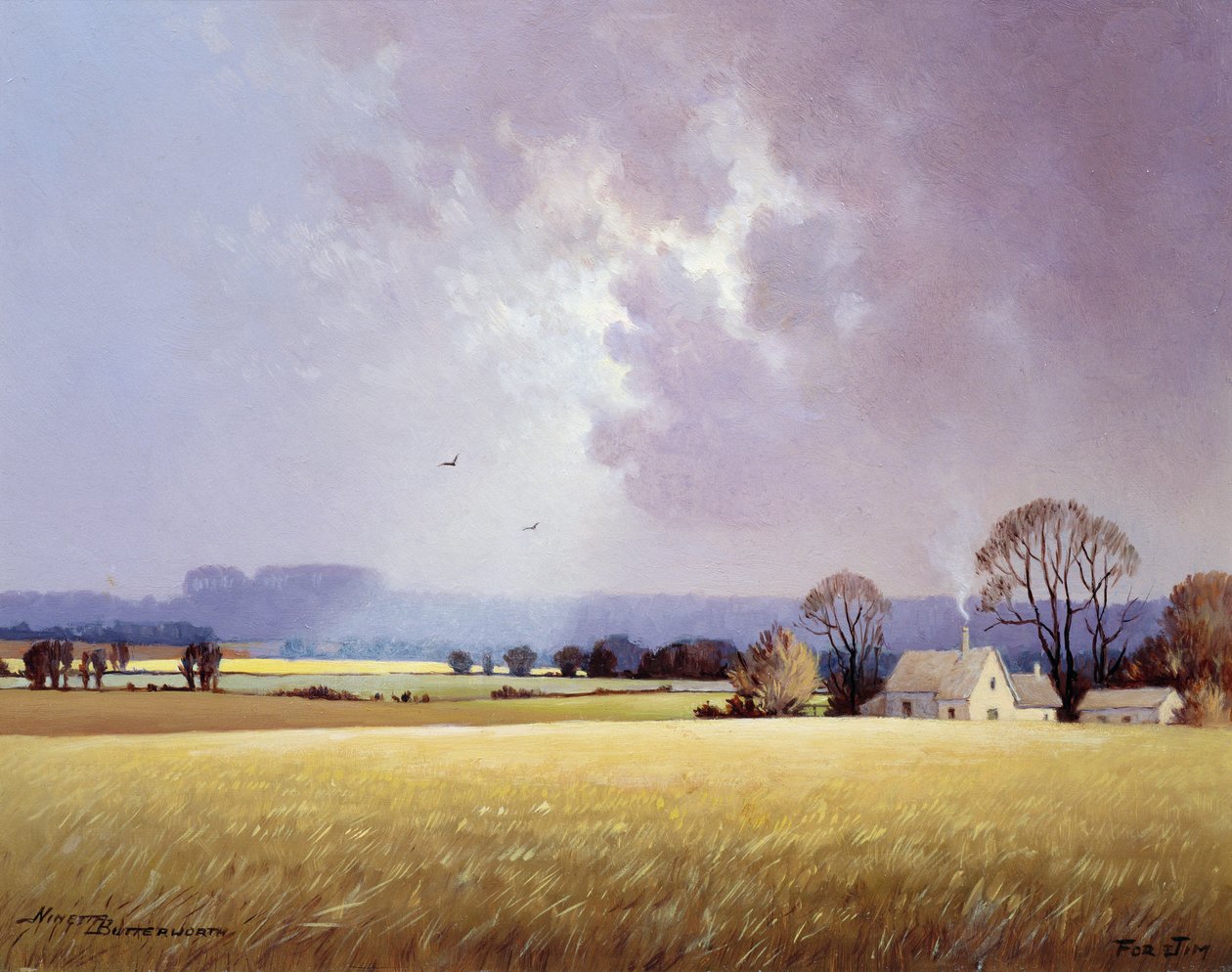 Autumn Sunlight, 1982 af Ninetta Butterworth