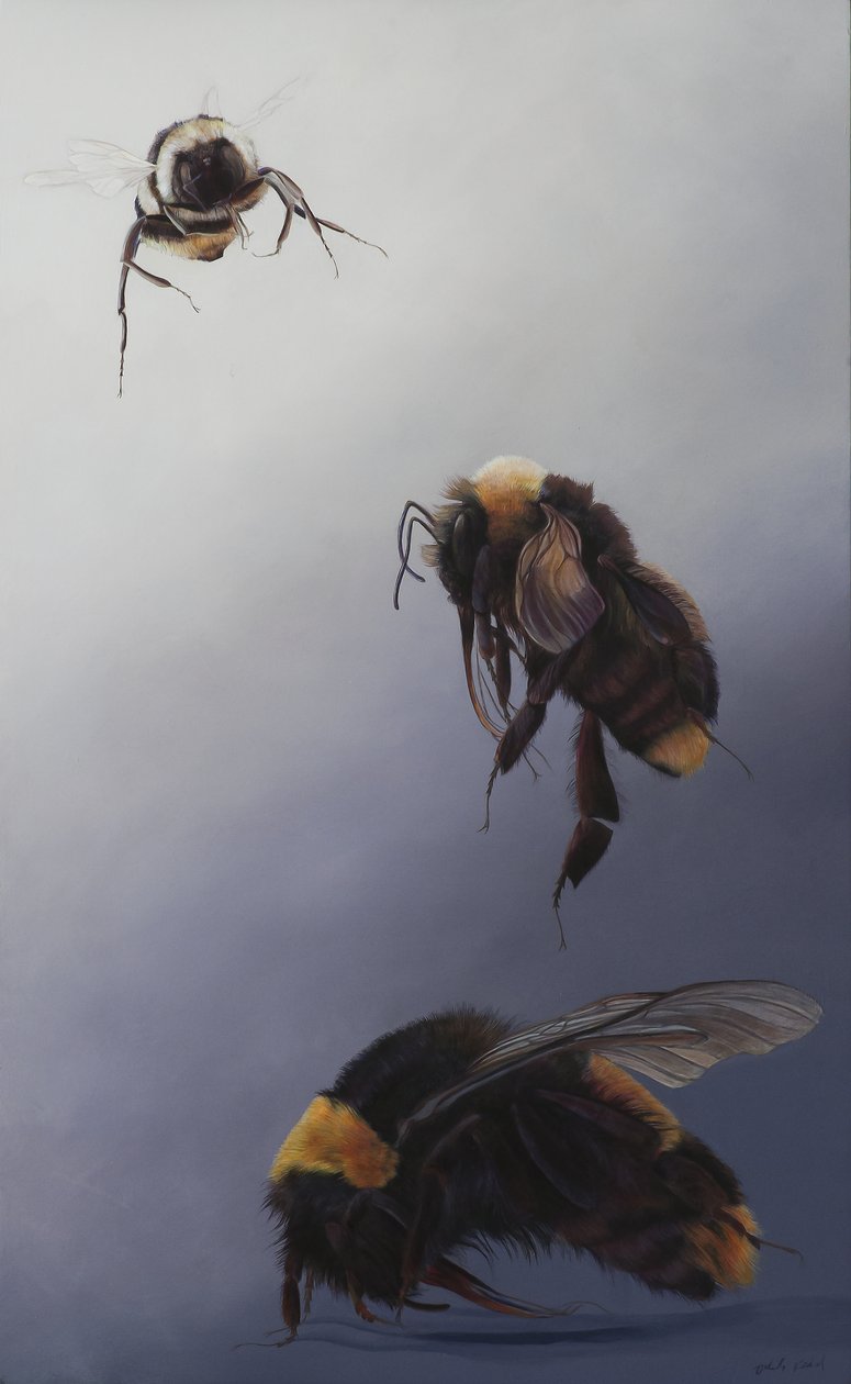 Bombus flight 2, 2011 (akryl på træ) af Odile Kidd
