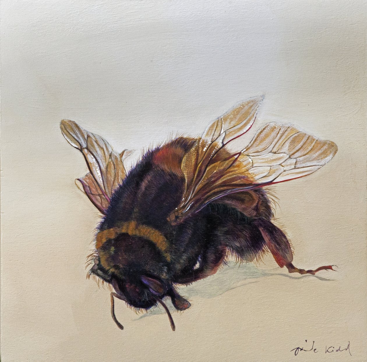 Bombus terrestris 10, 2013 (akryl på træ) af Odile Kidd