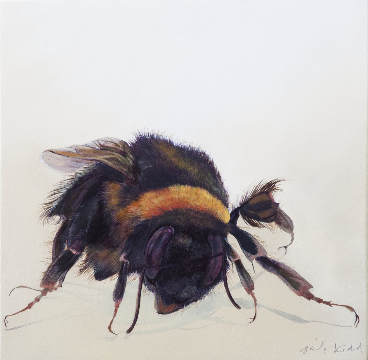 Bombus terrestris 9, 2013 (akryl på træ) af Odile Kidd