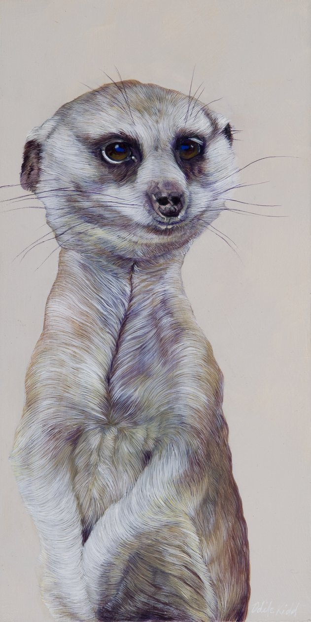 Meerkat 1, 2009 (akryl på træ) af Odile Kidd