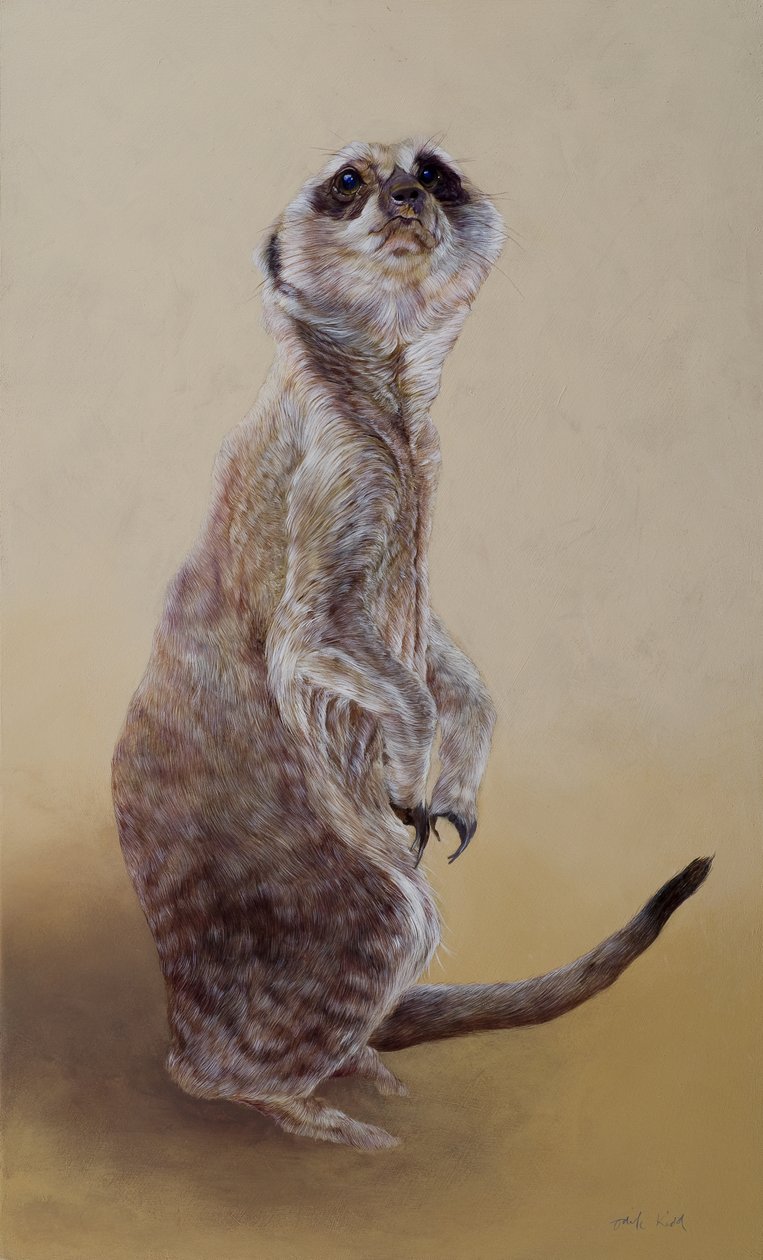 Meerkat 2, 2010 (akryl på træ) af Odile Kidd