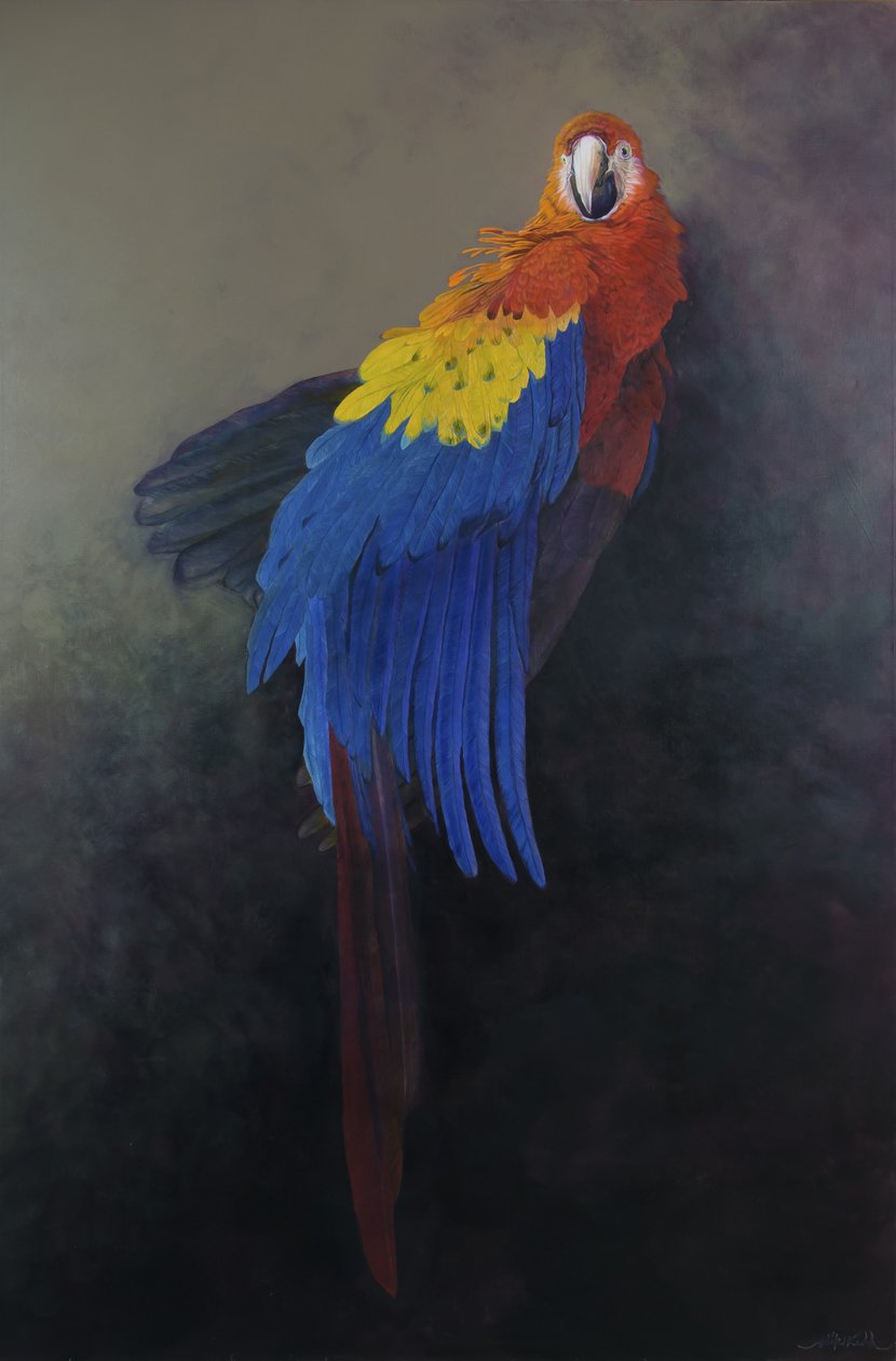 Scarlet macaw 3, 2014 (akryl på linned) af Odile Kidd