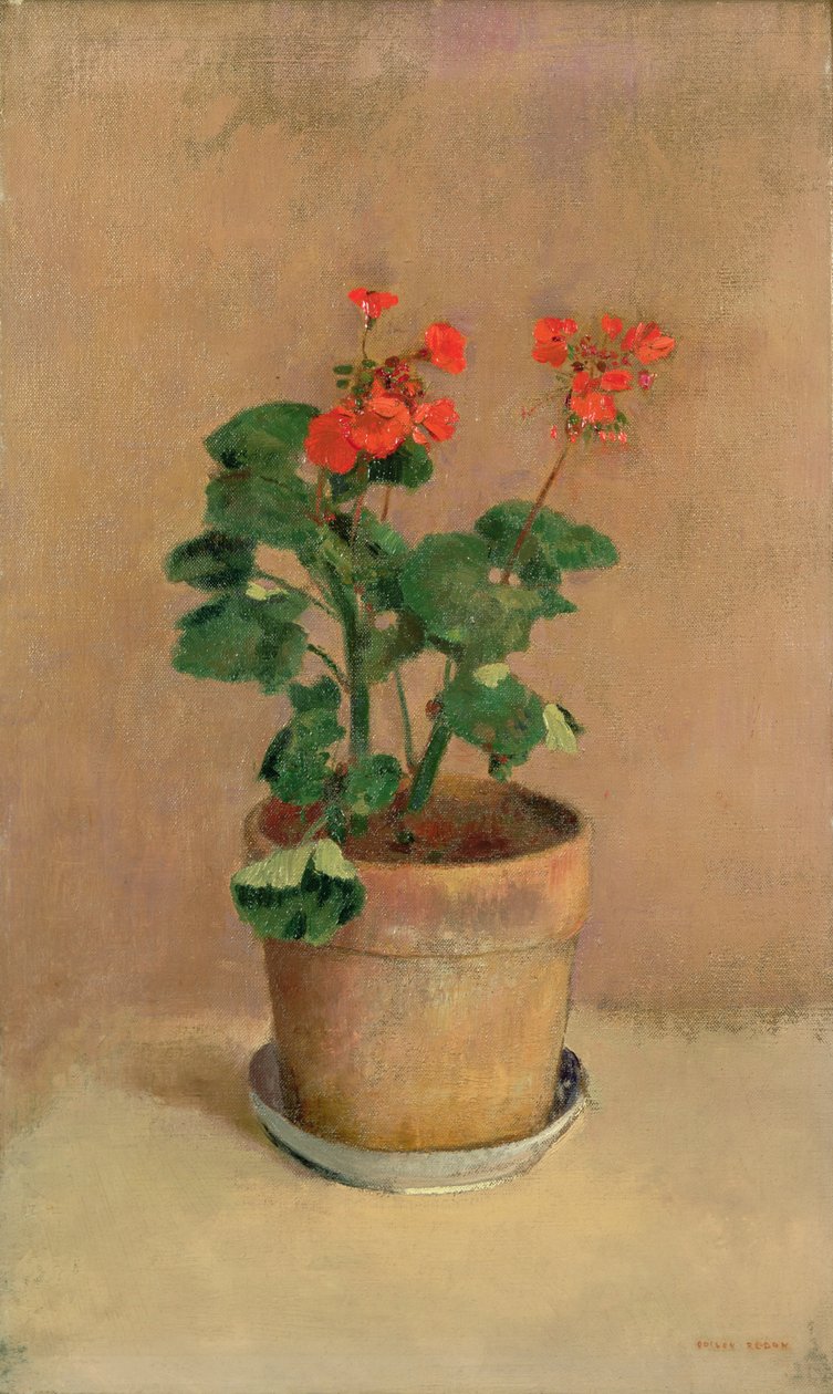 Pelargonier i en gryde, ca. 1905 af Odilon Redon