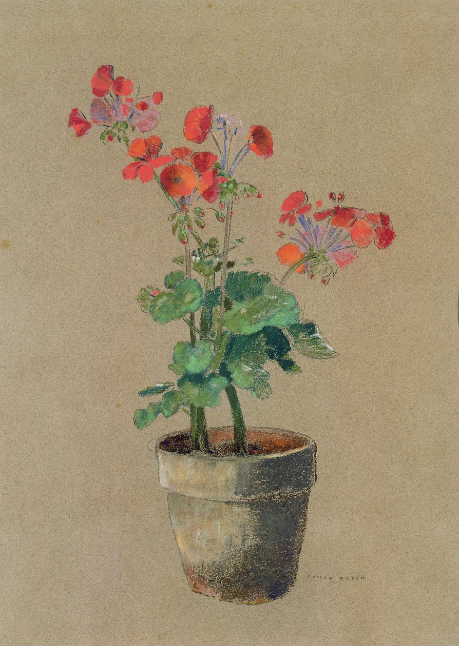 Pelargonier i en gryde (pastel) af Odilon Redon