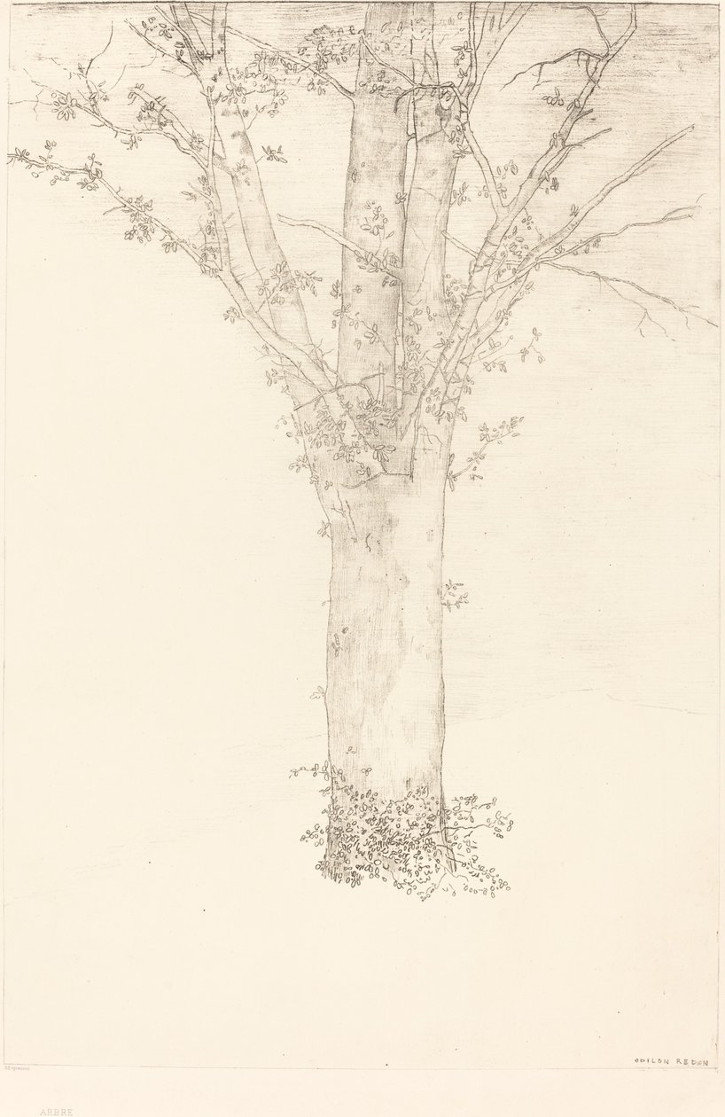 Træ af Odilon Redon
