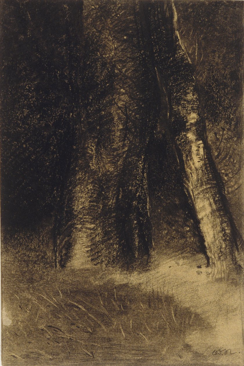 Skitse af træer af Odilon Redon
