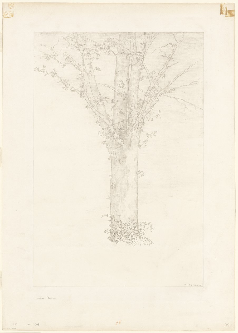 Træ af Odilon Redon