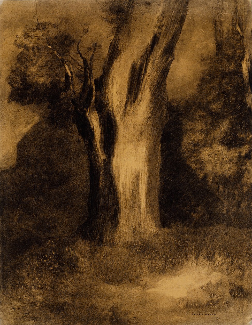 Træ af Odilon Redon