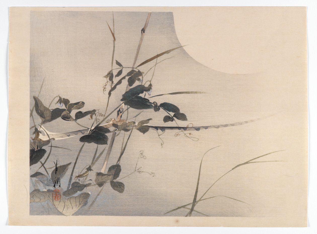 Moon and Foliage, albumside fra en Bird and Flower (Kacho)-bog, ca. 1890-1900 (træblok farvetryk med sølvpigment) af Ogata Gekko