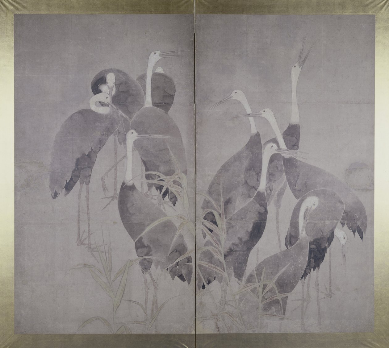 Elleve hunkraner stående i tørt rørleje, ca. 1700-50 (blæk og farver på papir) af Ogata Korin