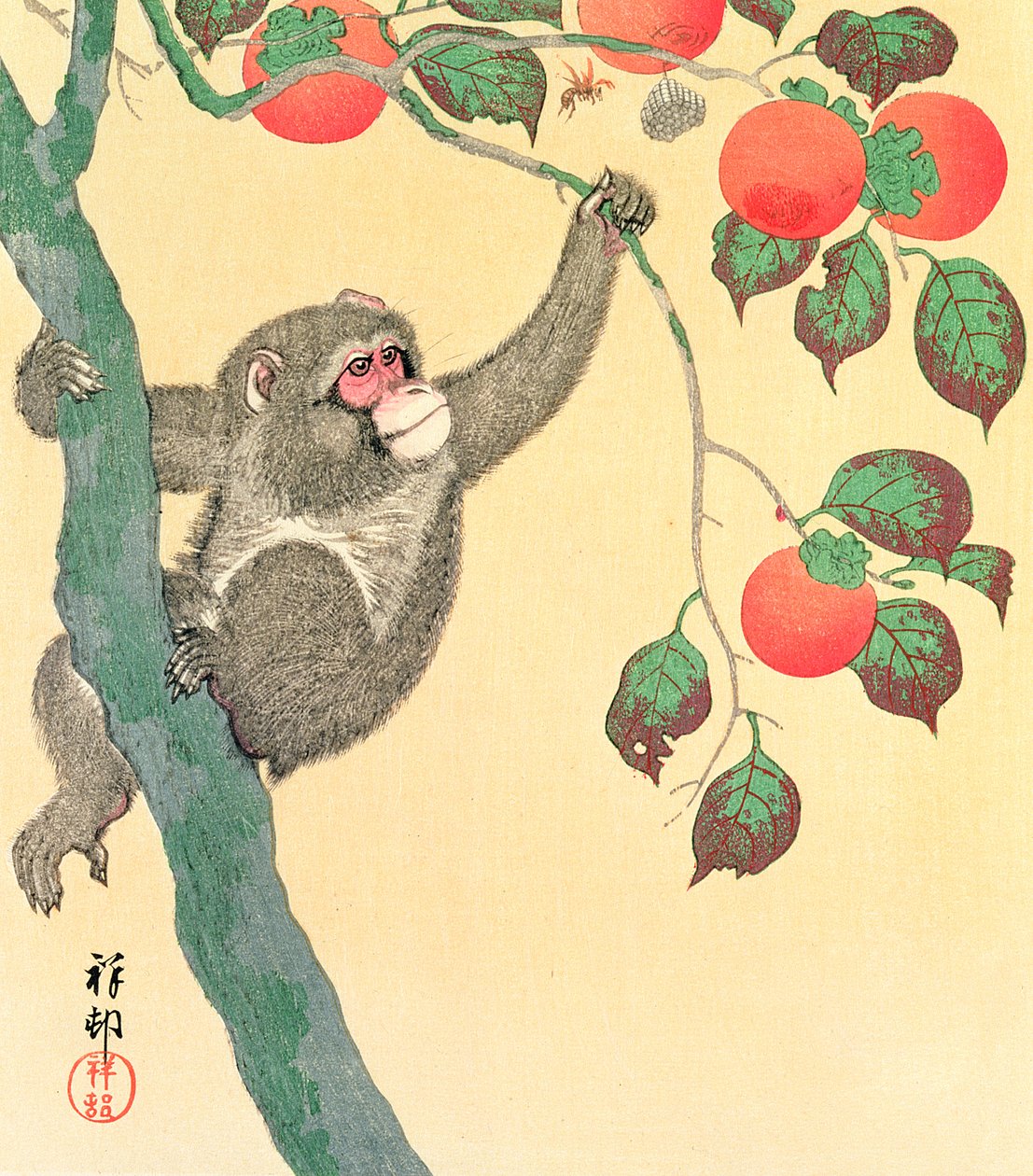 Monkey in a Persimmon Tree, 1935 (træblok farvetryk) af Ohara Koson