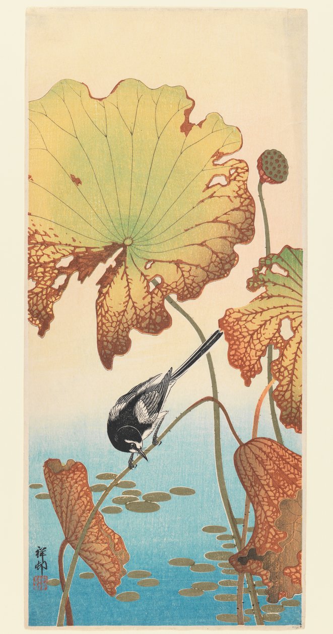 Vipstjert og Lotus, ca. 1915 (træbloktryk) af Ohara Koson
