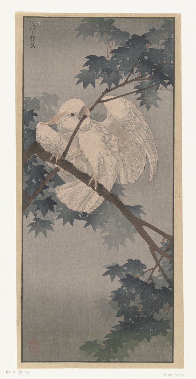Gul-crested kakadue i træ af Ohara Koson (attributed to)