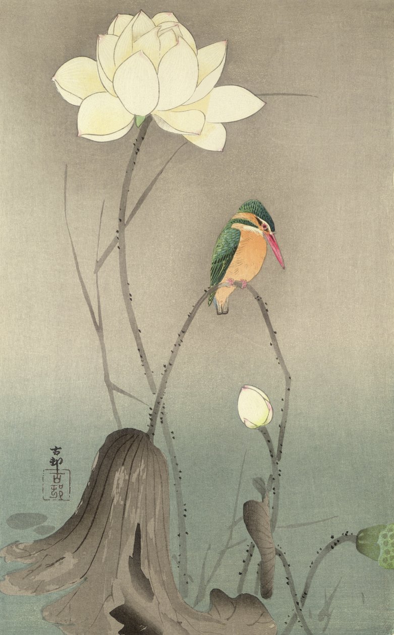 En isfugl og en lotus, ca. 1910, af Ohara Koson