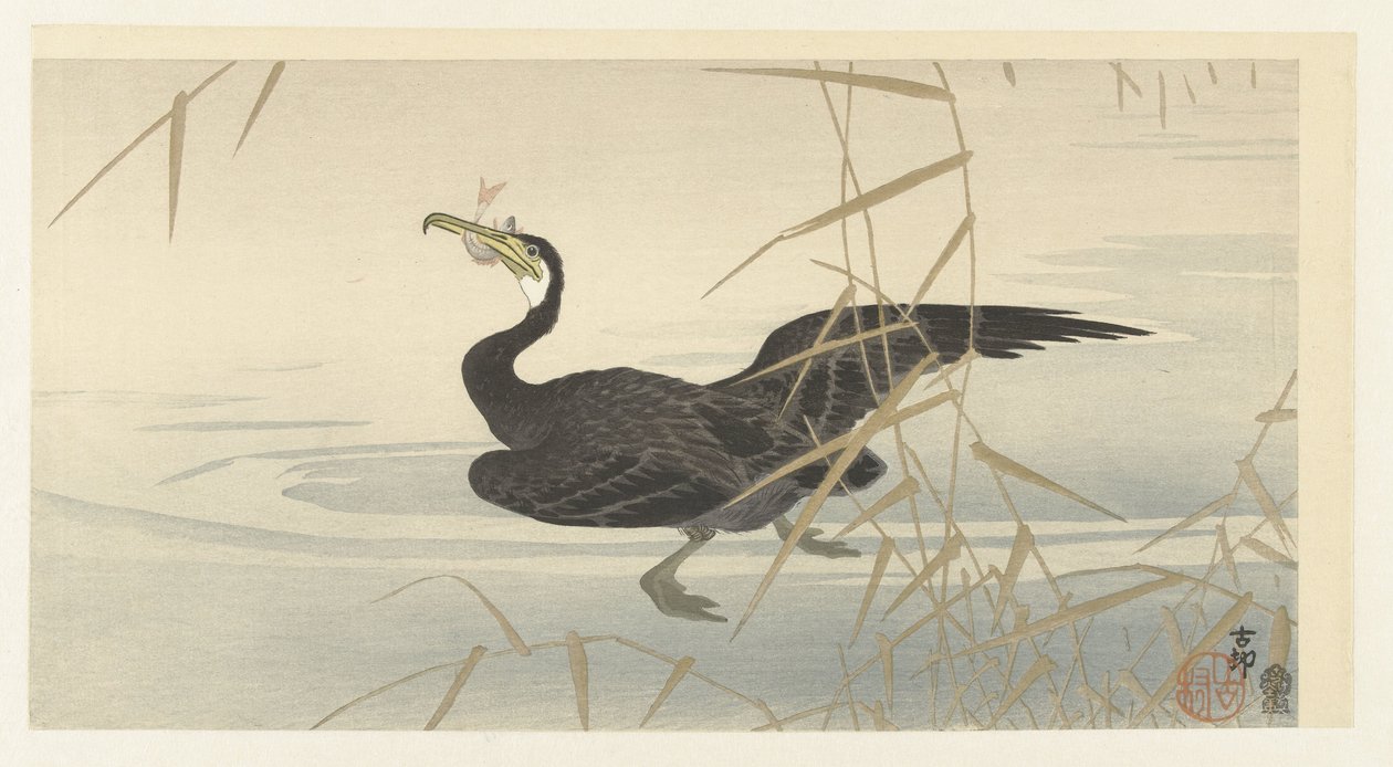 Skarv med fisk af Ohara Koson