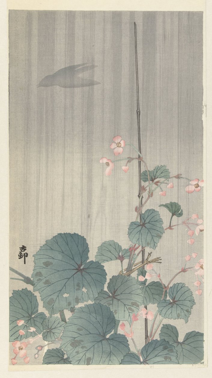 Begonia i regnen af Ohara Koson